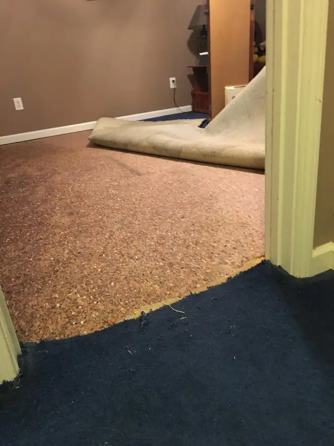 Carpet pad removal revealing water damage during Water Mitigation Services in Berryville