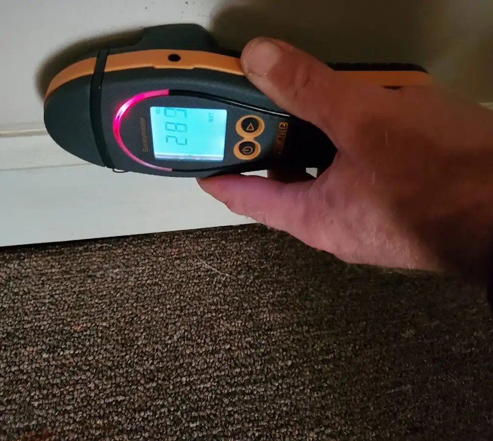 Moisture detection at baseboard during Sewage Cleanup & Sanitation in Berryville